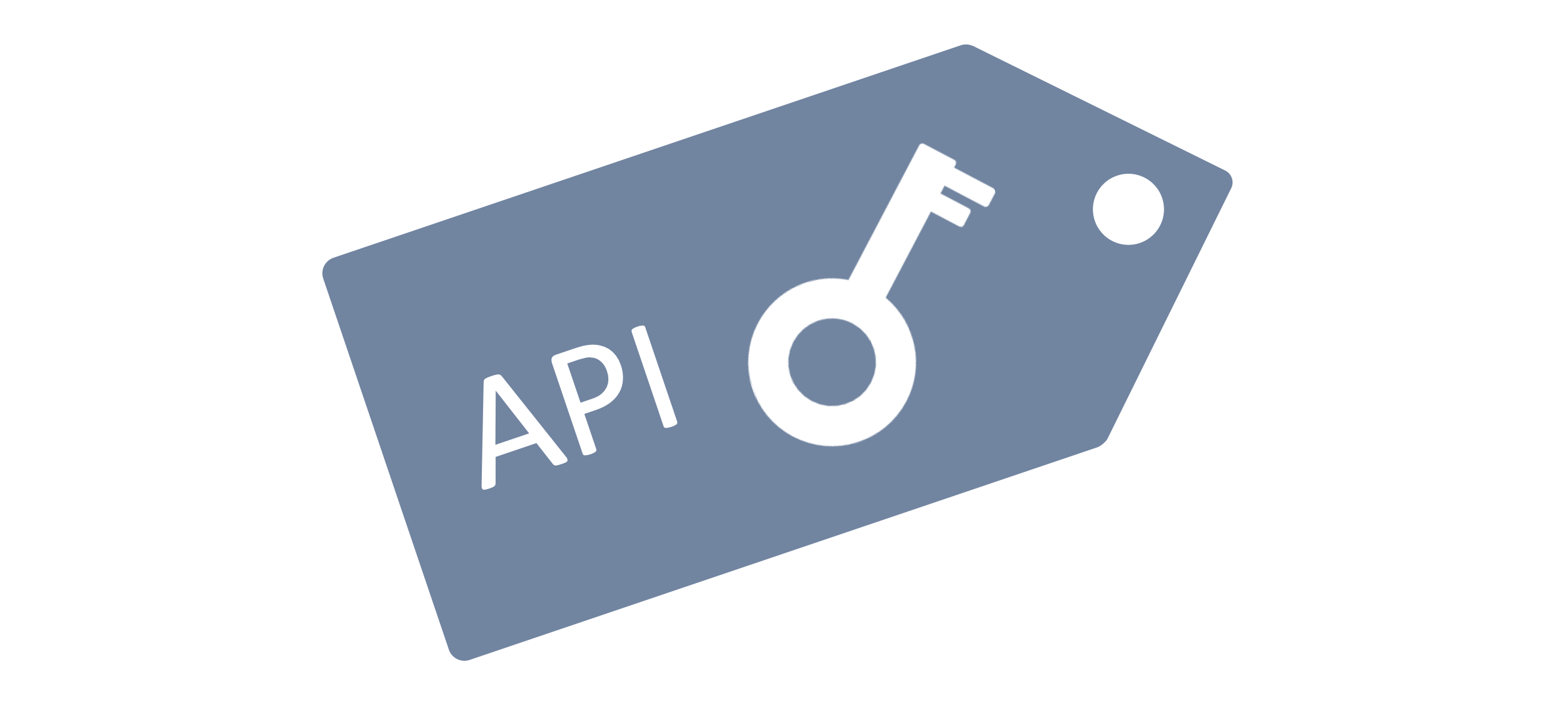Flat illustration of a price tag containing a key and the letters API 